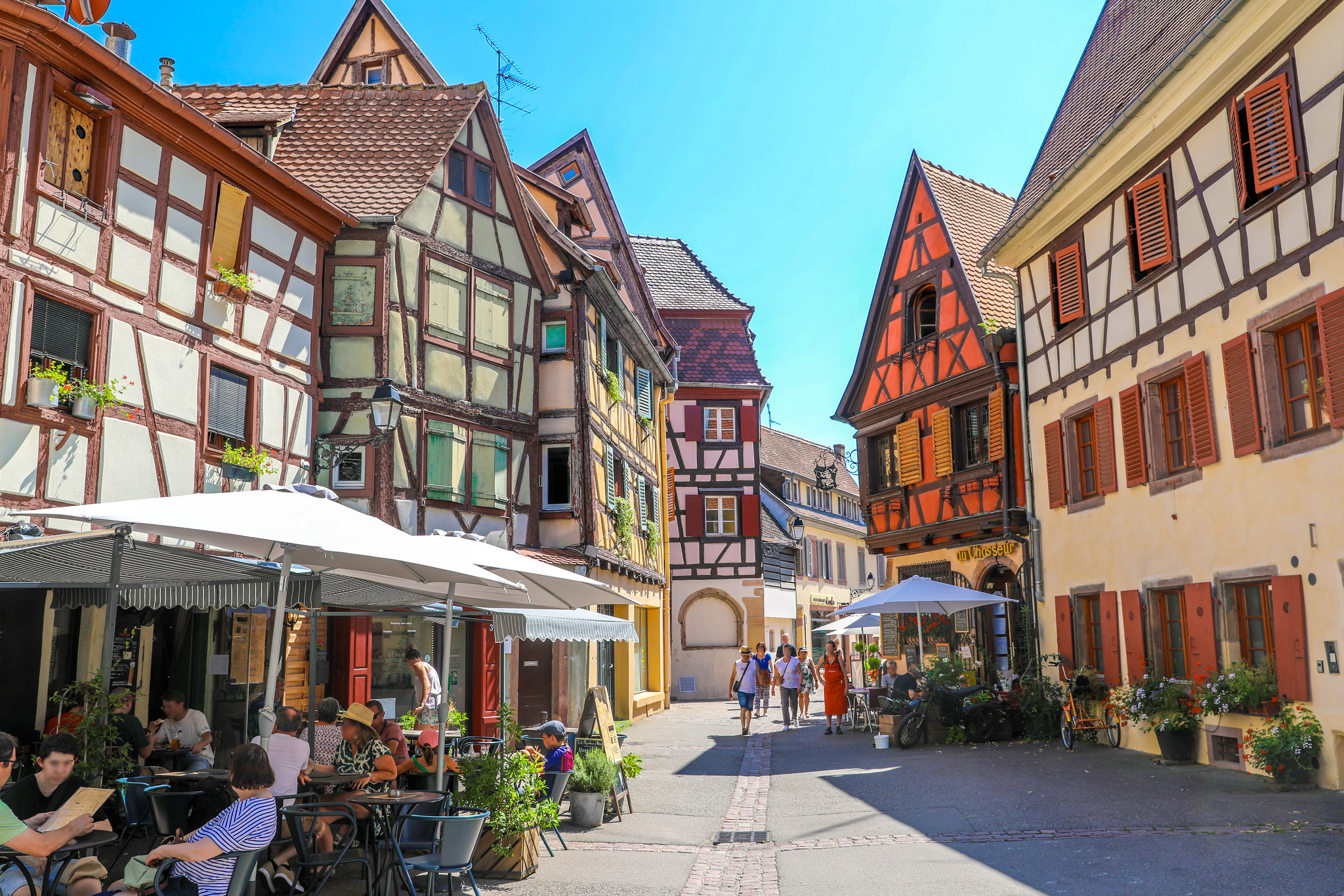 COLMAR
