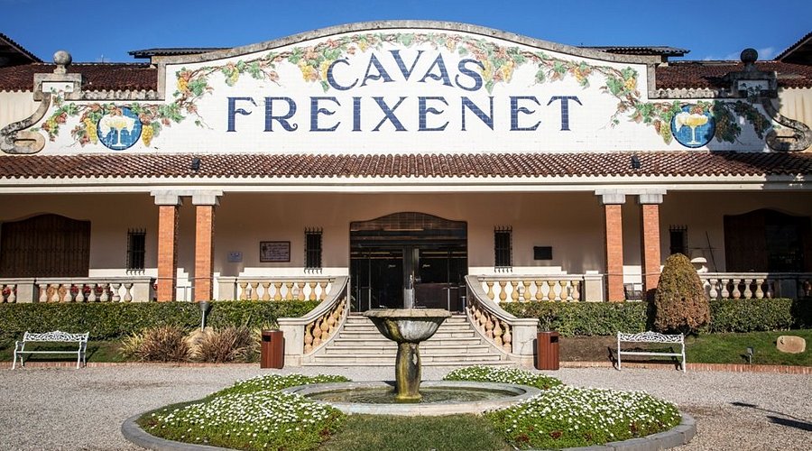 Bes�k p� Freixenet & Bodega Torres