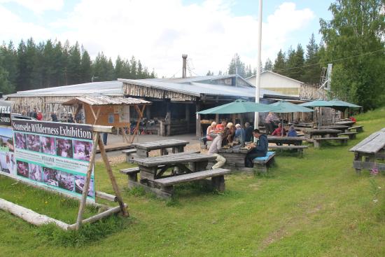 EDELVIKS TRÄDGÅRDSCAFÉ OCH VILDMARKSLUNCH